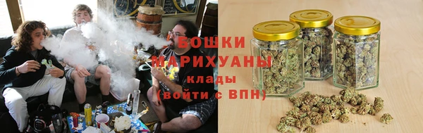 молекула духа Аркадак